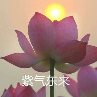 游戏蜂窝钥匙免root最新版下载